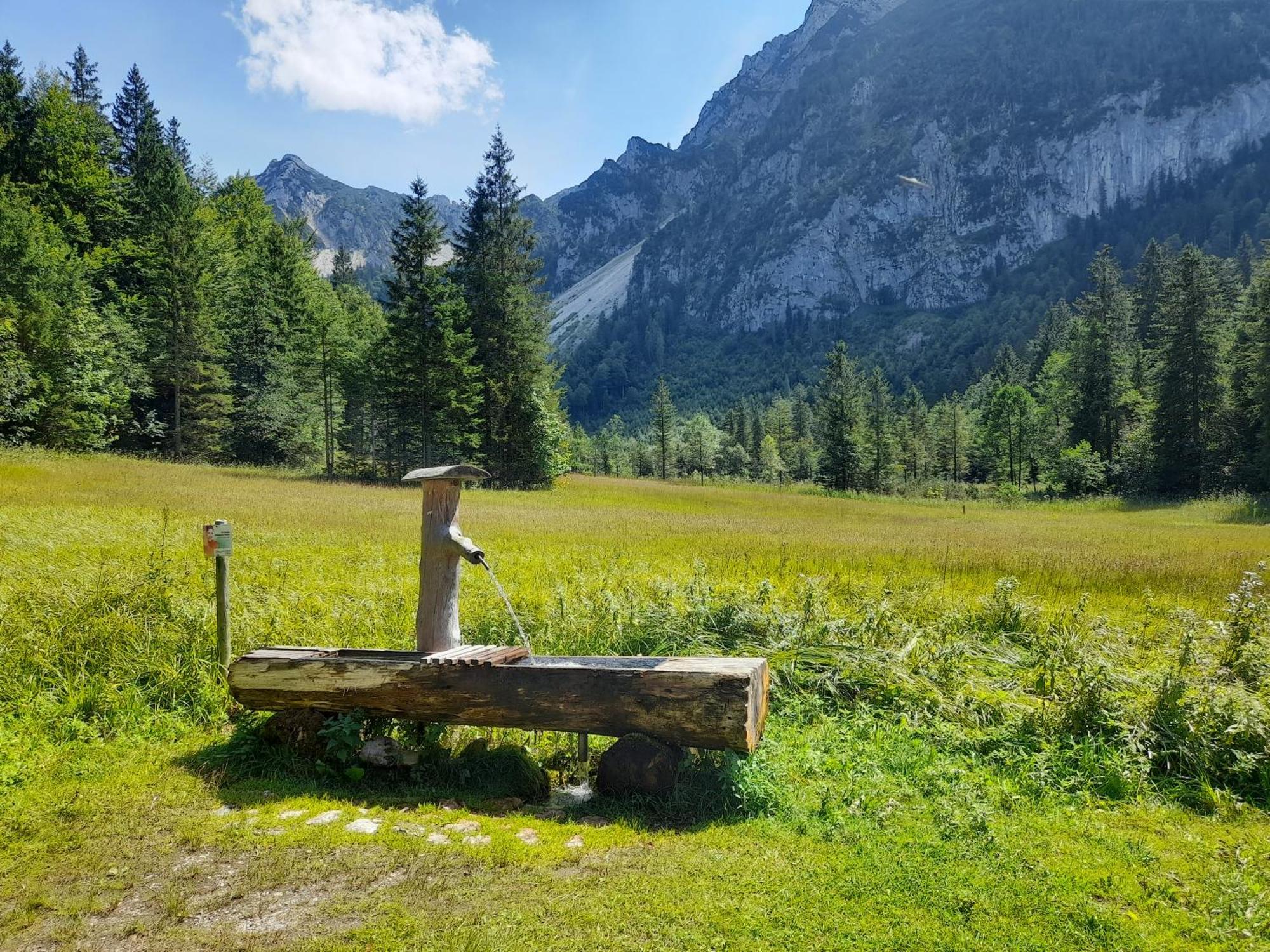 Im Naturgarten Тайзендорф Екстер'єр фото